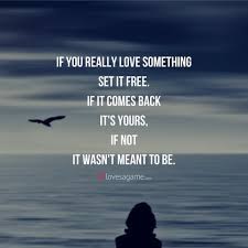 60 Best Positive Breakup Quotes That Will Help You Heal Positive Breakup Quotes Breakup Quotes Brainy Quotes