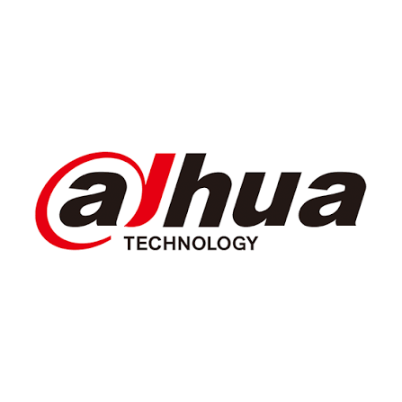 Dahua surveillance