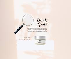 Image result for Beige 1990 ARA Services Inc