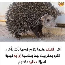 Pin On غراءب