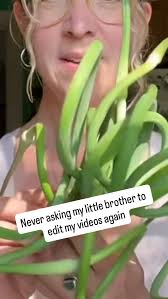 He’s at it again. Still, food should be fun. All food. , #garlicscapes  #foodisfun #nutrition