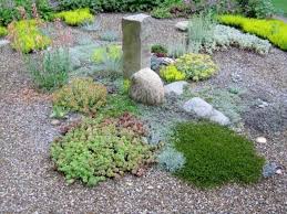 quelles plantes pour son jardin sec idees et conseils utiles jardin sec gravier decoratif jardin moderne