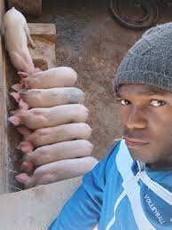 I don't know why my pig gave birth to 3piglet