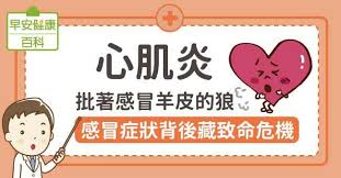Look up in linguee suggest as a translation of 心肌炎 å¿ƒè‚Œç‚Ž æ‰¹è'—æ„Ÿå†'ç¾Šçš®çš„ç‹¼ æ„Ÿå†'ç—‡ç‹€èƒŒå¾Œè—è‡´å'½å±æ©Ÿ æ—©å®‰å¥åº·