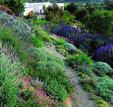 Design Tips For Gardeners Sunset Com Hillside Landscaping Sloped Garden Hillside Garden