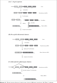 This is the currently selected item. Pdf Operons In Eukaryotes Semantic Scholar