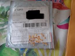 Occasionally a package may get held up either by china customs or us customs. Smugglers In China May Use You As A Pawn As A Sunset Hills Woman Found Out By Accident Fox 2