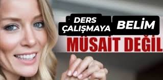 Berfin Çelik (@Serendipitybrn)