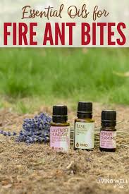 We did not find results for: Natural Home Remedies For Fire Ant Bites Essential Oils More