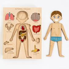 This article looks at female body parts and their functions, and it provides an interactive diagram. Photos Female Human Body Parts Female Human Anatomy Drawing Organs Novocom Top