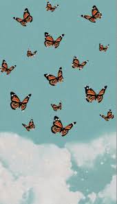 See more ideas about cute wallpapers, aesthetic iphone wallpaper, macbook wallpaper. Free Download Pinterest Anitakartchnerrr Butterfly Wallpaper Iphone 687x1200 For Your Desktop Mobile Tablet Explore 33 Pinterest Backgrounds Pinterest Wallpapers Pinterest Wallpaper Wallpaper On Pinterest