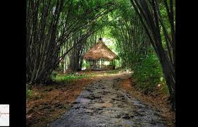 Desa Wisata “Boonpring” Sanankerto Malang Terima Penghargaan (ISTA) 2019 -  Jatimnet.com | Jatimnet
