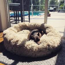 Proven to ease anxiety tested and proven to help dogs who are afraid of made from ultra soft vegan fur. Calming Bed Regular King Size Large Orthopedic Dog Bed The Mellow Dog