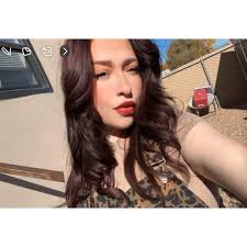 What is a good substitute for ancho chili powder?