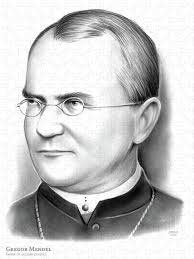 Austrian Empire Jigsaw Puzzles for Sale