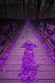 purple things crossing purple bridges purple things 綺麗な景色 パープル 紫色