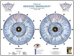 Iridology Eye Chart Free Download Iriscope Iridology