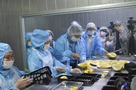 Just bite into any of our cakes or cookies range and you will savour the delicious passion we have for the finest ingredients are brought togeth. 31 Syarikat Lulus Eksport Durian Ke China Malaysia Aktif