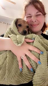 Even if your dog get bigger, he stay your little baby 🌸♥️