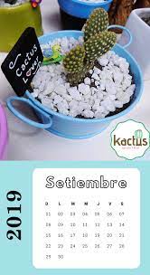Setiembre 2019 Feriados Cactus Food Breakfast