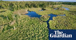 Streams And Lakes Have Rights A Us County Decided Now They Re Suing Florida Florida The Guardian