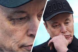 Elon Musk sports BLACK EYE, reveals who left him with shiner (Video) | New York Post