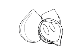 Download Kecapi Fruit Vector Outline Graphic By Alfinasillustration1 Creative Fabrica SVG Cut Files
