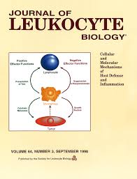 183, according to henry fynes clinton, but these dates are only approximations. Interferon G Gene Expression In Cycling And Pregnant Mouse Uterus Temporal Aspects And Cellular Localization Platt 1998 Journal Of Leukocyte Biology Wiley Online Library