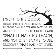 Explore our collection of motivational and famous quotes by authors you know and love. One Of My Favorite Quotes From Walden Thoreau Literary Quotes Society Quotes Thoreau Quotes