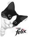 Purina Felix : tous les jeux-concours - Tout Gagner