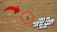Have we already found Life On Mars? (2020)