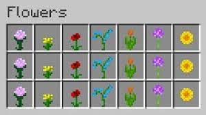 Flowers of your choosing (allium, dandelion, poppy, blue orchid, azure bluet, red tulip, orange tulip, pink tulip, white tulip and oxeye daisy). Minecraft 15 Things You Didn T Know About Flowers Youtube