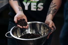 I believe that drinking ethical and sustainable coffee is no longer a choice. Live Oak S Roots Grow Deeper With New Coffee Roastery Chemical City Paper