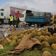 By nic ker 2:41 pm, 10 august 2020 9 comments. Lori Terbalik 1 Tan Durian Bertaburan Di Lebuhraya Plus Akibat Tayar Pecah