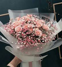 Pin On Flowers