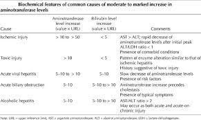The keto diet does not cause fatty liver disease. Liver Enzymes Causes Of Elevated Or High Liver Enzymes