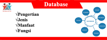 Database Adalah Jenis Manfaat Fungsi Konsep Struktur