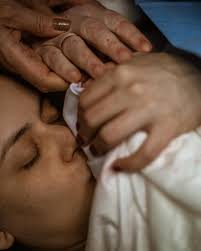 09.02.2025 Bentinho chegou 🤍✨ 📷: @brunaprimofotografia