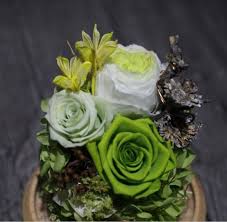 Looks stunning even after months of low maintenance and lasts an eternity, preserved flowers are a beautiful addition to the home without the additional responsibility of caring for them. China Wholesale Beautiful Green Preserved Rose In Glass Dome With Music China Preserved Flower Rose And Valentines Day Price