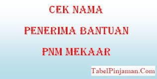 Tabel angsuran pinjaman bpr 2021 plafond rp 500 juta. 4 Cara Cek Nama Penerima Bantuan Pnm Mekar