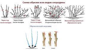 Схема для начинающих