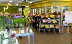 5101 south university drive, davie, fl. Field Of Flowers Davie Fl 33328