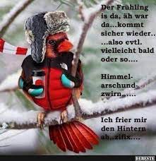 Nächste woche könnte es wärmer w. Der Fruhling Is Da Ah War Da Kommt Sicher Wieder Spring Forward Spring Quotes Winter Humor