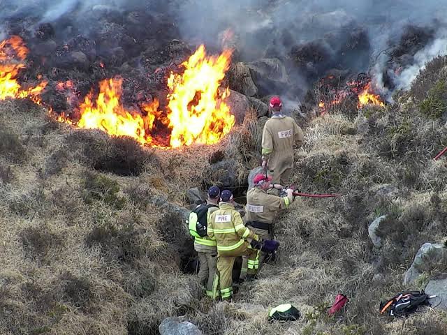 Whole ecosystems 'decimated' by huge rise in UK wildfires | UK news | The  Guardian