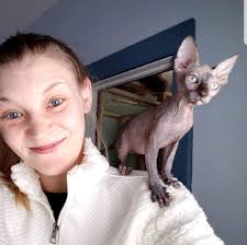 Up to date on shots. Local Woman Breeds Unique Felines Nodaway News