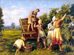 donne che vendemmiano