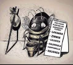 La pista de clarin crucigrama planta liliacea de flores grandes y hermosas se ha publicado 6 vezveces y tiene 1 unicas respuestas en nuestro sistema. Mis Cactus Y Suculentas Posts Facebook