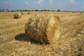 Est la force de la pesanteur, d'origine gravitationnelle et inertielle, exercée, par exemple. Ficelles Agricoles Pour L Elevage En Plasticulture Animale