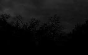 47 Black And White Forest Wallpaper On Wallpapersafari Submitted 4 years ago by e4niazi. 47 black and white forest wallpaper