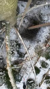 Image result for site:byggahus.se fällning